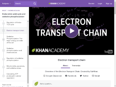 Thumbnail for Overview of the Electron Transport Chain resource