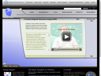 Thumbnail for Functional Magnetic Resonance Imaging (fMRI) resource