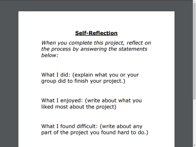 self reflection project