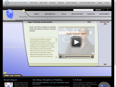 Thumbnail for Hyper-Plasticity and Savantism resource