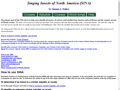 Thumbnail for Singing Insects of North America resource