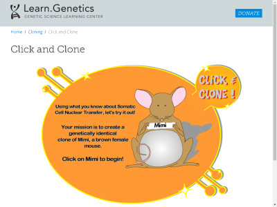 Thumbnail for Click and Clone resource