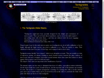 Thumbnail for Tardigrada (Water Bears) resource