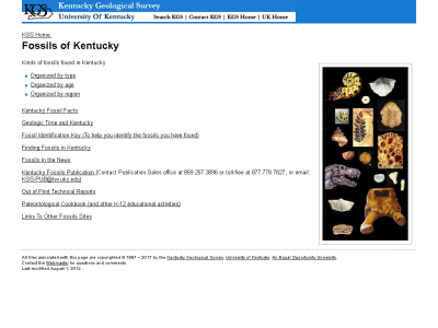Thumbnail for Fossils of Kentucky resource