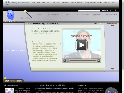 Thumbnail for Electrophysiology - Techniques (2) resource