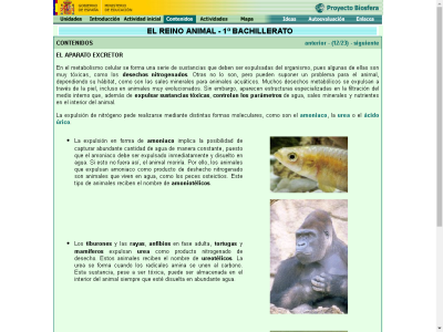 Thumbnail for El aparato excretor resource