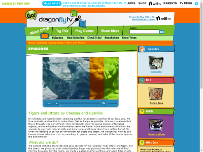 Thumbnail for Tigers and Otters resource