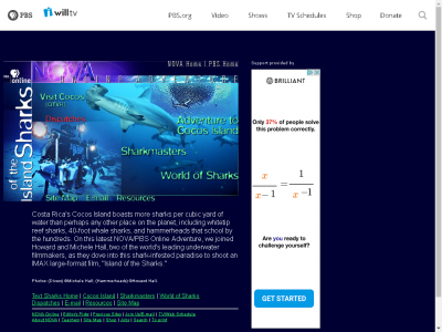 Thumbnail for NOVA Online: Shark Attack! resource