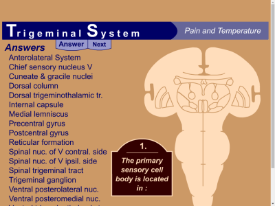 Thumbnail for HyperBrain: Pathway Quiz 3 - Trigeminal System (Pain and Temperature) resource