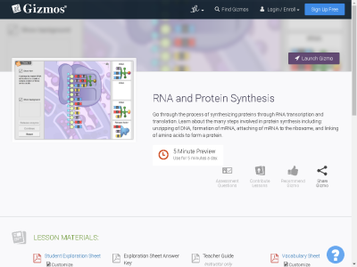 Thumbnail for RNA and Protein Synthesis resource