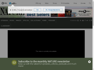Thumbnail for Permutations, Derangements, and Other Forbidden Position Problems Using Non-Attacking Rooks resource
