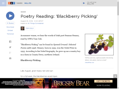 Thumbnail for Poetry Reading: "Blackberry Picking" resource