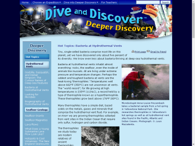 Thumbnail for Bacteria at Hydrothermal Vents resource