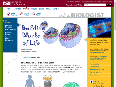 Thumbnail for Building Blocks of Life resource