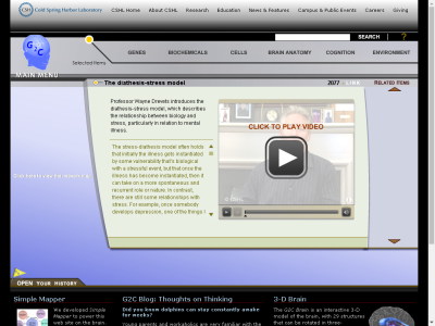 Thumbnail for The Diathesis-Stress Model resource