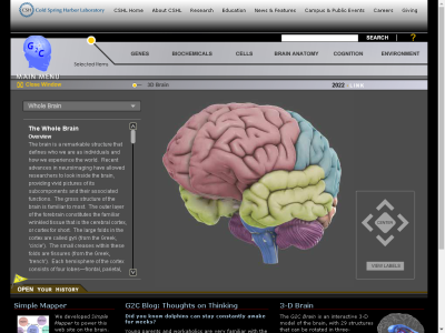 Thumbnail for G2C 3D Brain resource