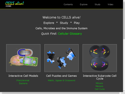 Thumbnail for Cells Alive Interactives and Galleries resource