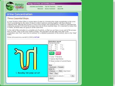 Thumbnail for Urine Concentration resource