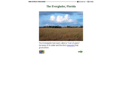 Thumbnail for The Everglades, Florida resource
