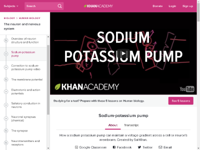 Thumbnail for How a sodium potassium pump can maintain a voltage gradient across a cell or neurons membrane resource