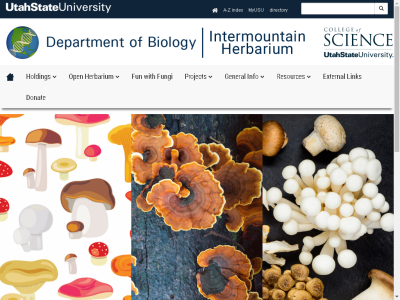 Thumbnail for Fun Facts About Fungi resource
