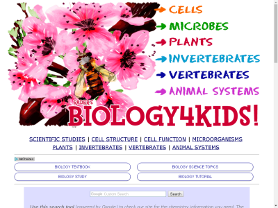 Thumbnail for Rader's Biology4Kids resource