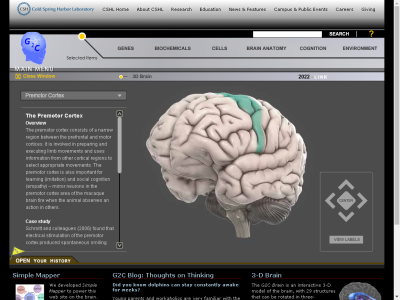 Thumbnail for Premotor Cortex resource