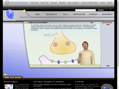 Thumbnail for GABA Neurotransmitter resource