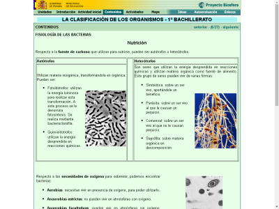Thumbnail for Fisiología de las bacterias resource