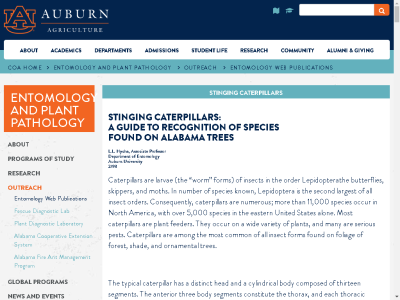 Thumbnail for Stinging Caterpillars A Guide to Recognition of Species Found on Alabama Trees resource