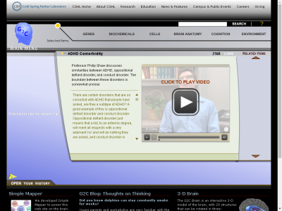 Thumbnail for ADHD Comorbidity resource