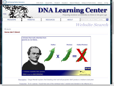Thumbnail for Animation 3: Gene's don't blend. resource