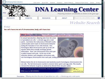 Thumbnail for Concept 8: Sex cells have one set of chromosomes; body cells have two. resource