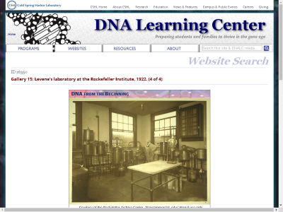 Thumbnail for Gallery 15: Levene's laboratory at the Rockefeller Institute, 1922. (4 of 4) resource