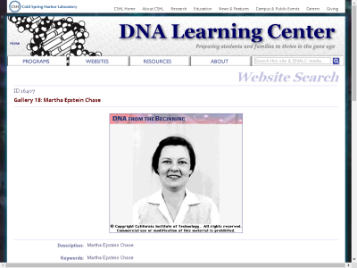 Thumbnail for Gallery 18: Martha Epstein Chase resource