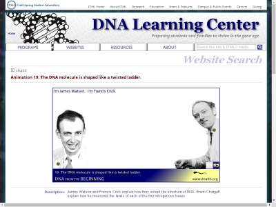 Thumbnail for Animation 19: The DNA molecule is shaped like a twisted ladder. resource