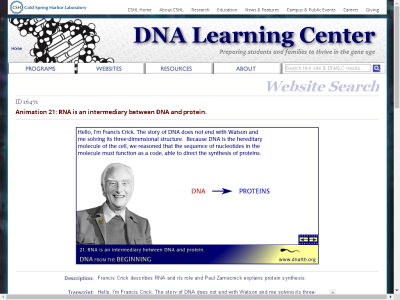 Thumbnail for Animation 21: RNA is an intermediary between DNA and protein. resource