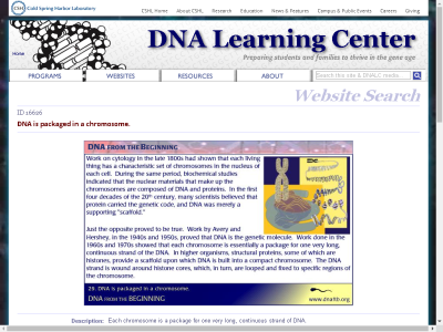 Thumbnail for Concept 29: DNA is packaged in a chromosome. resource