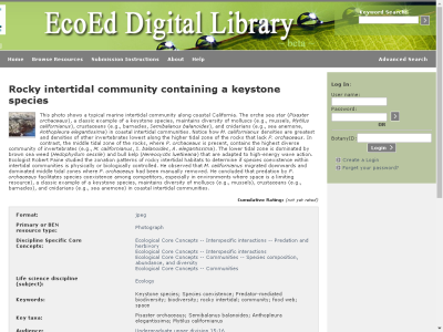Thumbnail for Rocky intertidal community containing a keystone species resource