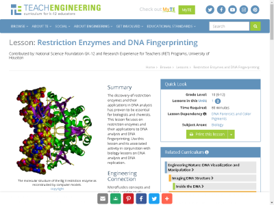Thumbnail for Restriction Enzymes and DNA Fingerprinting resource