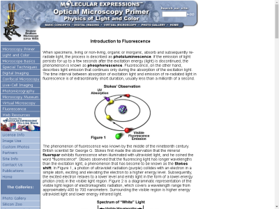 Thumbnail for Molecular Expressions: Introduction to Flourescence resource