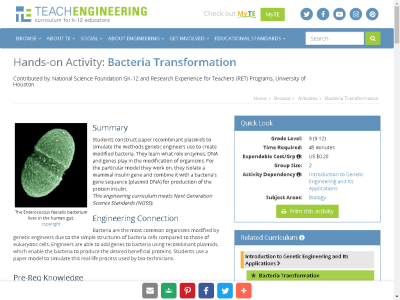 Thumbnail for Bacteria Transformation resource