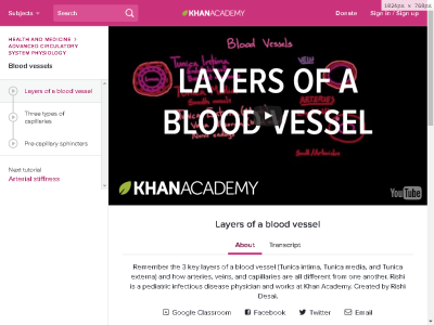 Thumbnail for Layers of a blood vessel resource