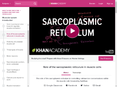 Thumbnail for Role of the sarcoplasmic reticulum in muscle cells resource