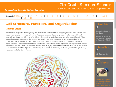 Thumbnail for 7th Grade Summer Science : Cell Structure  Function  and Organization resource
