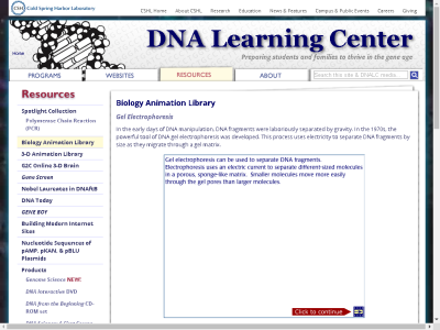Thumbnail for Gel Electrophoresis resource