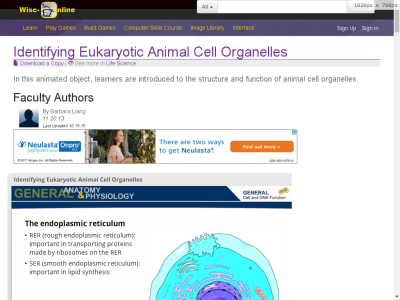 Thumbnail for Identifying Eukaryotic Animal Cell Organelles resource