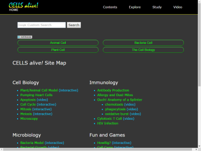Thumbnail for CellsAlive! Living Cells and oOrganisms for Education. resource