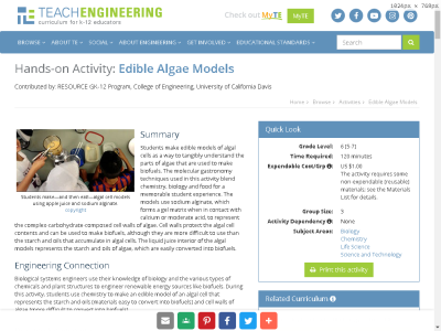 Thumbnail for Hands-on Activity: Edible Algae Models resource