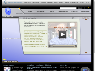 Thumbnail for Aplysia and Learning resource